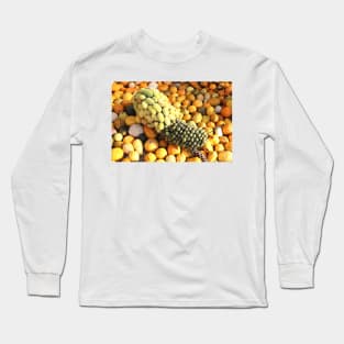 Group of pumpkins Long Sleeve T-Shirt